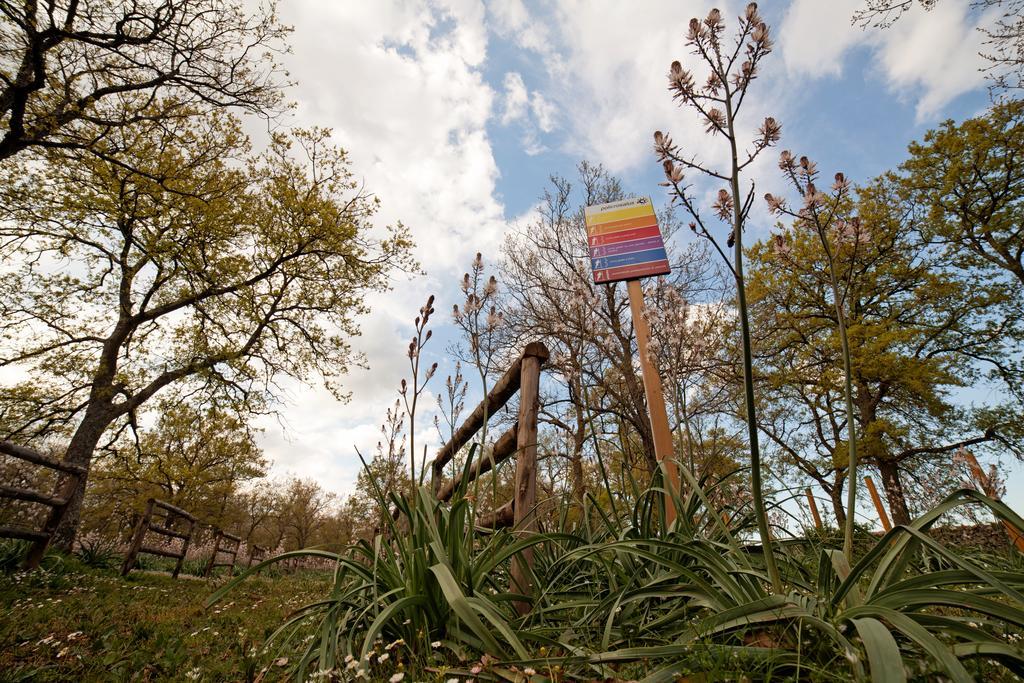 Tenute D'Onghia Gioia Del Colle Exteriör bild